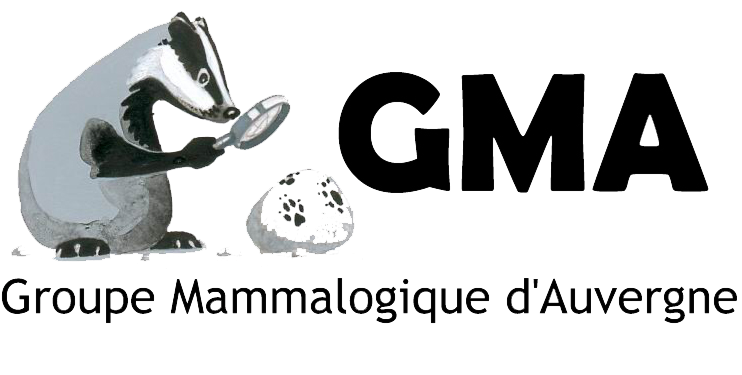 Logo Groupe Mammalogique d’Auvergne