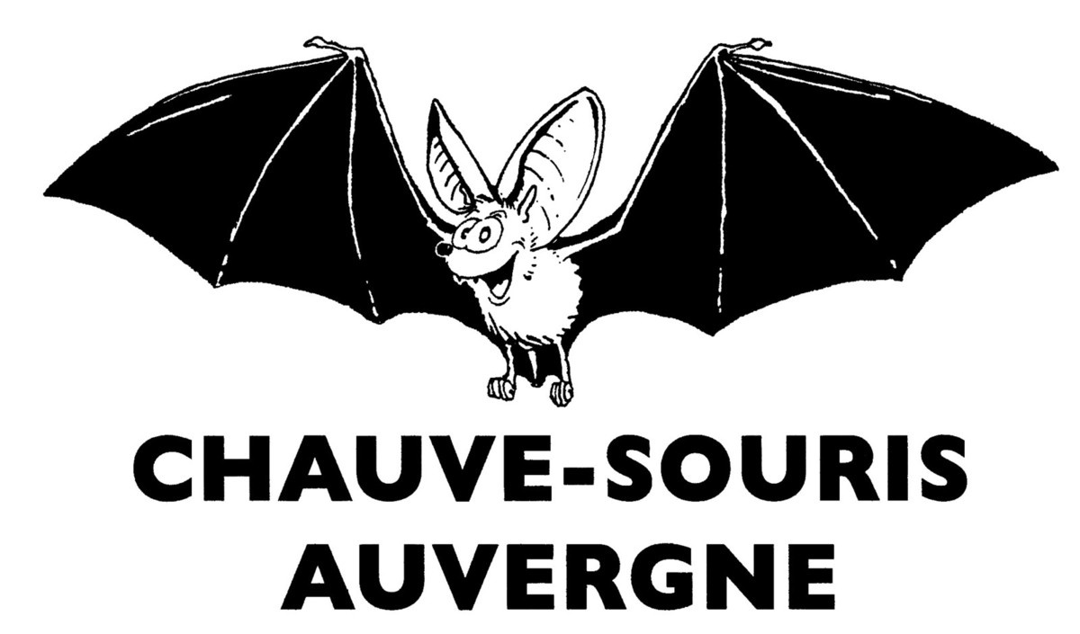 Logo Chauve-souris Auvergne